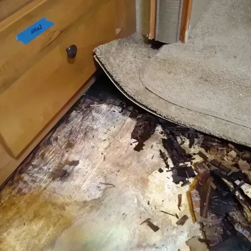 Wood Floor Water Damage in Inverness, FL